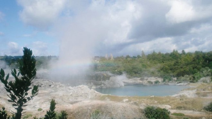 New Zealand geyser erupts, shooting water into the air